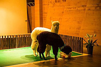 新赛季改动引发差评 《流放之路2》开发团队承认错误